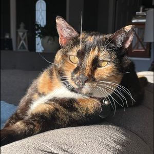 Meet your Posher, Rosario